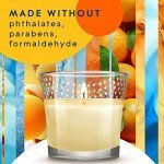 Coastal Sunshine Citrus Candle Jar - 3.4 Oz