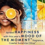 Coastal Sunshine Citrus Candle Jar - 3.4 Oz