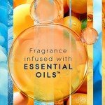 Coastal Sunshine Citrus Candle Jar - 3.4 Oz