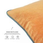 Set of 4 Soft Velvet Decorative Pillow Covers