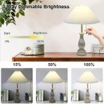 Dimmable Farmhouse Table Lamp with Pull Chain