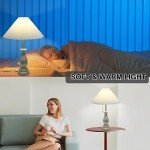 Dimmable Farmhouse Table Lamp with Pull Chain