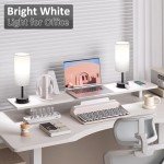 Fenmzee Set of 2 Nightstand Lamps with USB Port