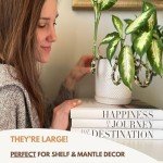 Stylish Decorative Books for Coffee Table Decor