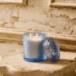 Violet Amber Fall Scented Soy Candle 15.87oz