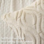 Beige Plush Throw Pillow Covers Set of 2