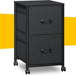 Raybee 2-Drawer Fabric Filing Cabinet, Black