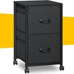 Raybee 2-Drawer Fabric Filing Cabinet, Black