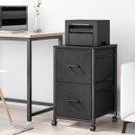 Raybee 2-Drawer Fabric Filing Cabinet, Black