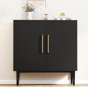 Modern Black Storage Cabinet for Any Room