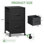 Raybee 2-Drawer Fabric Filing Cabinet, Black
