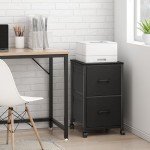 Raybee 2-Drawer Fabric Filing Cabinet, Black