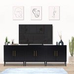 Modern Black Storage Cabinet for Any Room