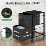 Raybee 2-Drawer Fabric Filing Cabinet, Black