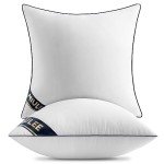 MIULEE 18x18 Premium Pillow Inserts - Set of 2