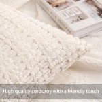 Set of 2 Boho Striped Throw Pillow Covers