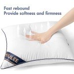 MIULEE 18x18 Premium Pillow Inserts - Set of 2