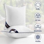 MIULEE 18x18 Premium Pillow Inserts - Set of 2