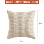 Set of 2 Boho Striped Throw Pillow Covers