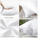 Set of 4 Soft 18x18 Throw Pillow Inserts