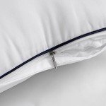 MIULEE 18x18 Premium Pillow Inserts - Set of 2