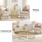 Gold Accent Small Coffee Table Set of 2