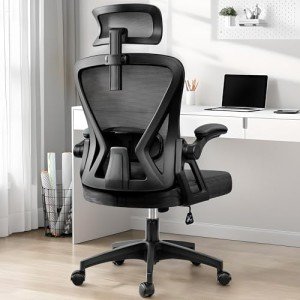 Ergonomic High Back Office Chair with Headrest