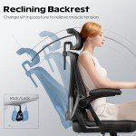 Ergonomic High Back Office Chair with Headrest