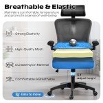 Ergonomic High Back Office Chair with Headrest