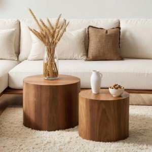 Modern Walnut Nesting Coffee Table Set of 2