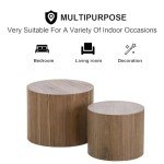 Modern Walnut Nesting Coffee Table Set of 2
