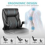 Ergonomic Black Executive Office Chair with Lumber Support