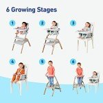 Graco EveryStep 6-in-1 Convertible High Chair