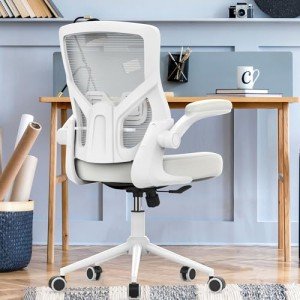 Ergonomic High Back Office Chair with Lumbar Support
