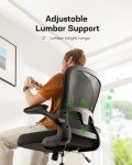 Marsail Ergonomic Mesh Office Chair with Lumbar Support