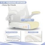 Ergonomic High Back Office Chair with Lumbar Support