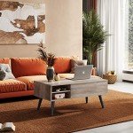 Mid-Century Modern Lift Top Coffee Table with Storage
