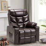 Esright Electric Lift Recliner with Massage & USB