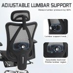 Adjustable Comfort Mesh Office Chair with Lumbar Support