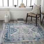 Desta Vintage Oriental 5'3" Square Area Rug