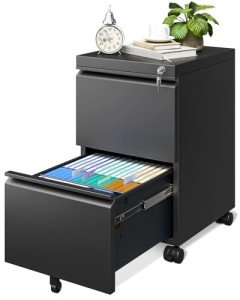 AODK 2-Drawer Mobile File Cabinet in Black