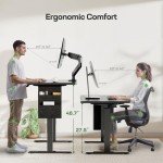 Marsail Electric Adjustable Height Standing Desk 55x24