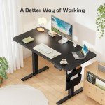 Marsail Electric Adjustable Height Standing Desk 55x24