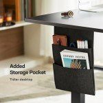 Marsail Electric Adjustable Height Standing Desk 55x24