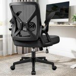 FelixKing Ergonomic Mesh Office Chair with Lumbar Support