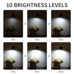 Dott USB Clip-On Desk Lamp with 3 Color Modes