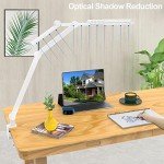 Rotatable LED Desk Lamp with Clamp for Home Office