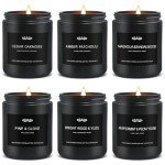 6 Pack Scented Candles Gift Set for Men
