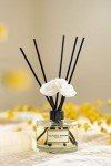 Black Cherry Reed Diffuser Set for Home Decor