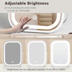 Portable LED Travel Makeup Mirror with Lights